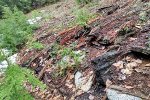 Roof of the collapsed snow shed 